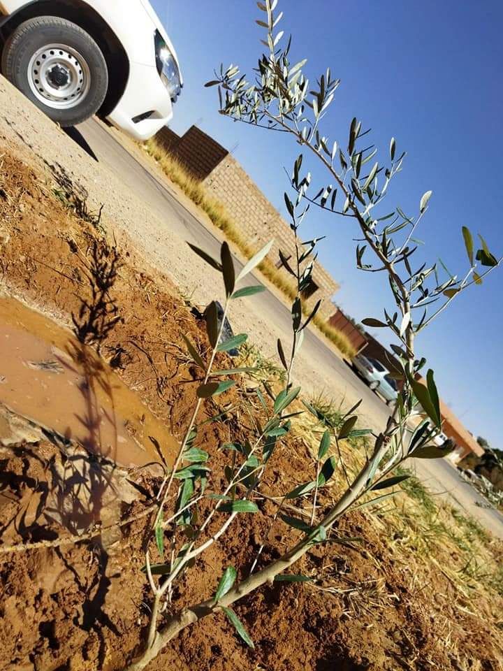 image?src=%7B%22file%22%3A%22wp content%2Fuploads%2F2022%2F04%2Ftree planting campaign3 1