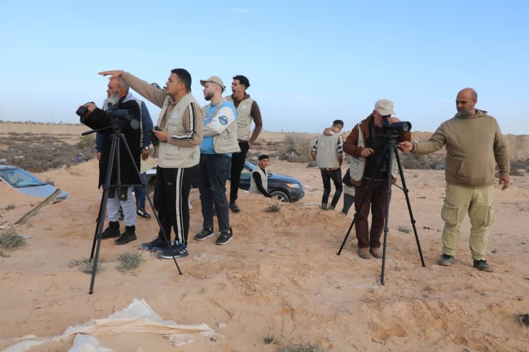 %D8%A7%D9%84%D8%B7%D9%8A%D9%88%D8%B1 2 05fdacec