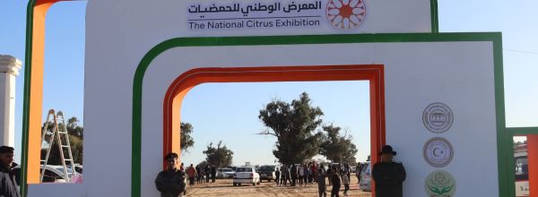 FB IMG 1769554400537 1699364f