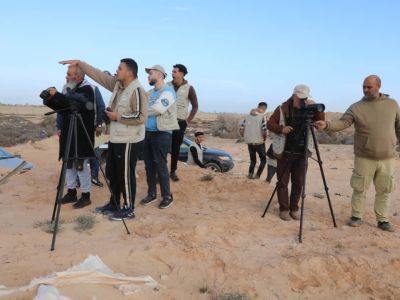 %D8%A7%D9%84%D8%B7%D9%8A%D9%88%D8%B1 2 c28c842e