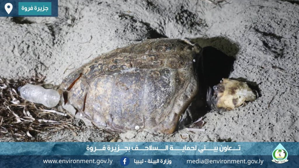 اتلاتلاتلاتلاتلاتلاتلاتلاتلاتلاتلا