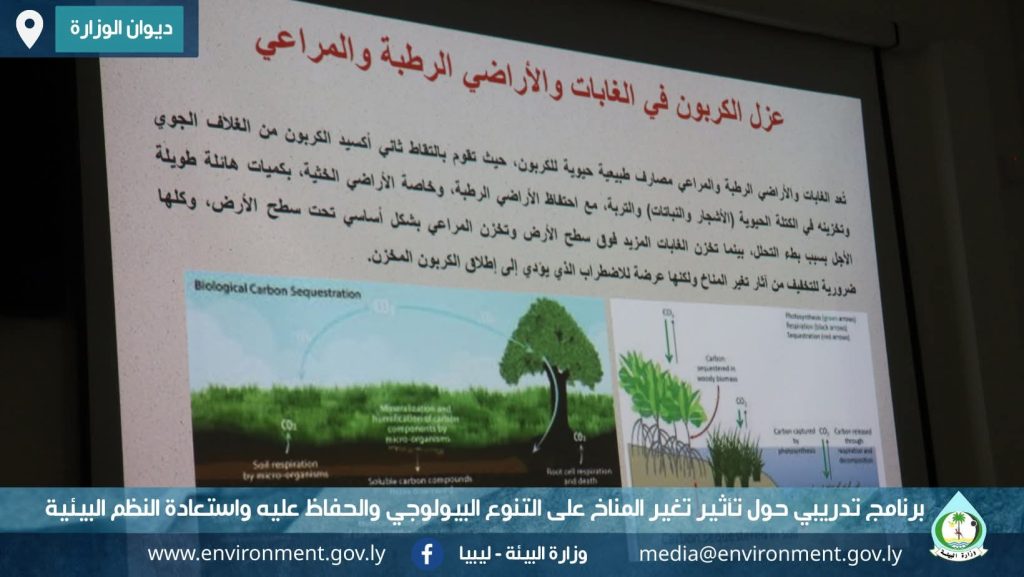 FB IMG 1768583978085