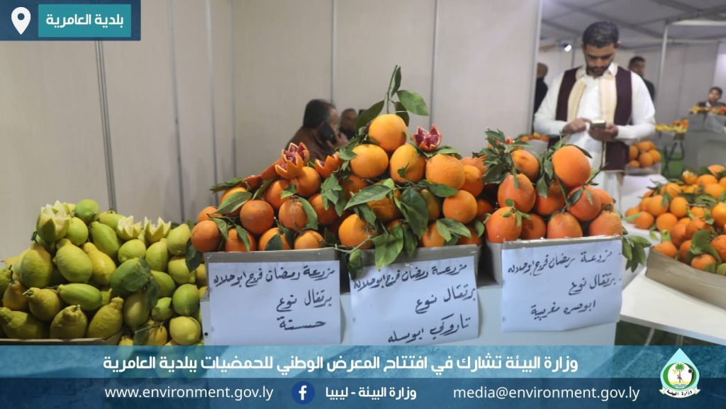 FB IMG 1769554367242 1