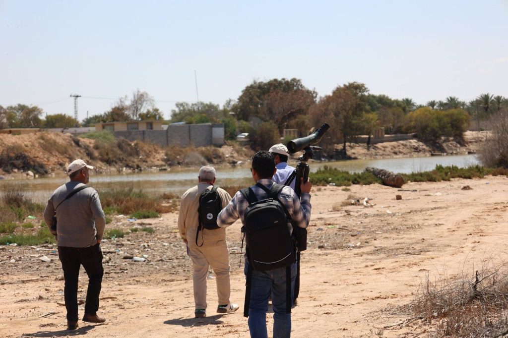 مسح استطلاعي 2