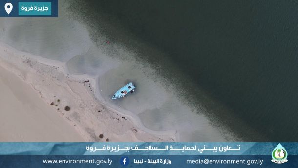 شراكة بين وزارة البيئة وجمعية بادو لحماية اعشاش السلاحف البحرية بجزيرة فروة 1 111111111111111111111111122222222222222222222222222222333333333333333333333333333333 1 276d7f8d