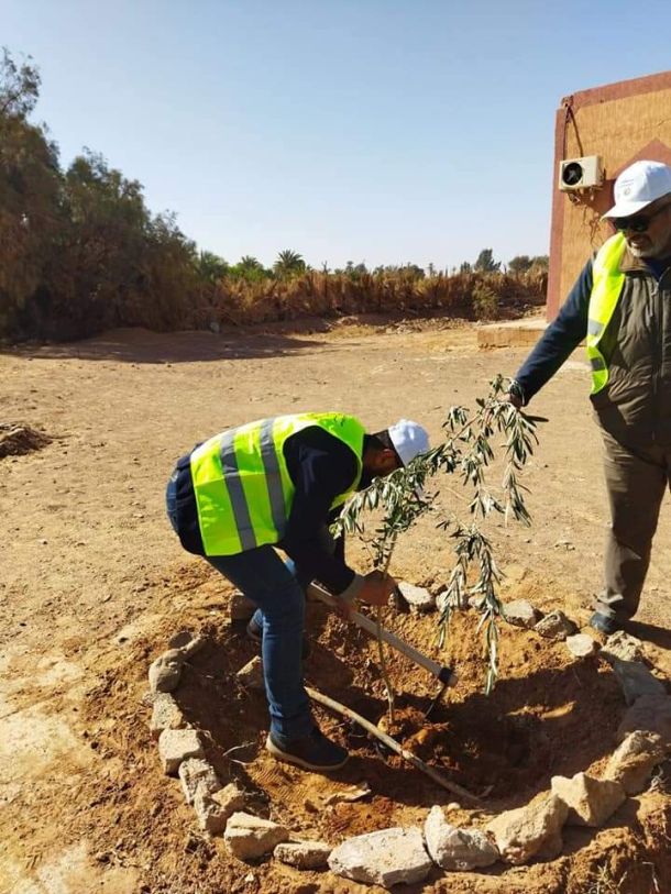 لقاء مع الاهالي حول الأوضاع البيئية بمنطقة السدرة 7 tree planting campaign 418bf395