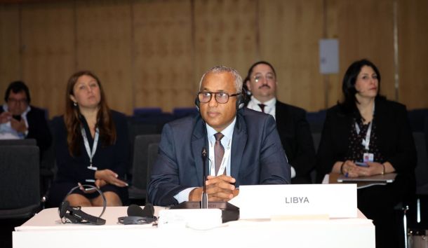 International Climate Conference2 d8487f34